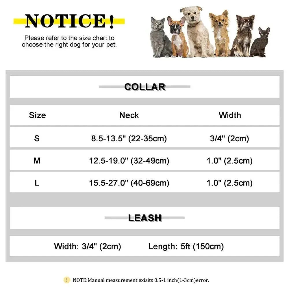 Custom Dog Collar and Leash Set for Personalized Dogs