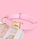 Weatherproof Dog Collar and Leash Set