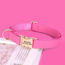 Weatherproof Dog Collar and Leash Set