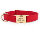 Weatherproof Dog Collar and Leash Set