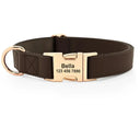 Weatherproof Dog Collar and Leash Set