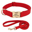 Weatherproof Dog Collar and Leash Set