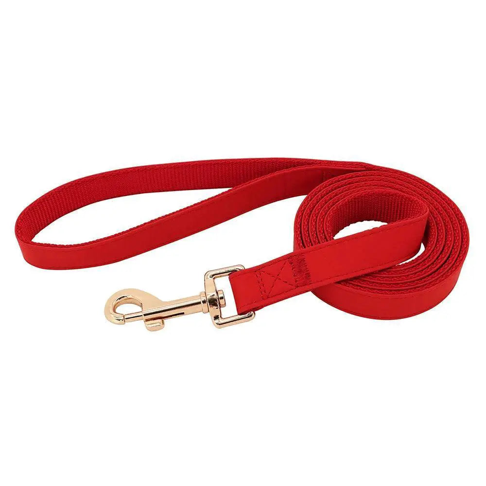 Weatherproof Dog Collar and Leash Set — product view 17