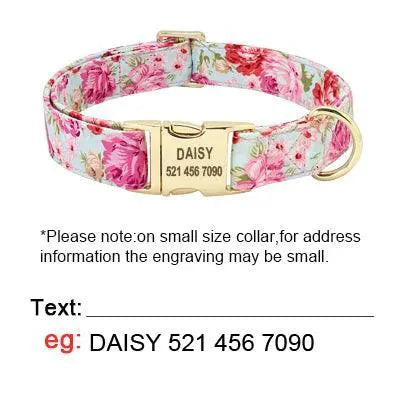 Personalized Nylon Dog Collar Leash Set Engraved Nameplate