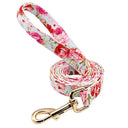 Engraved ID Dog Collar Leash Set Pets