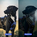 Masbrill Reflective Nylon Dog Harness Adjustable Vest