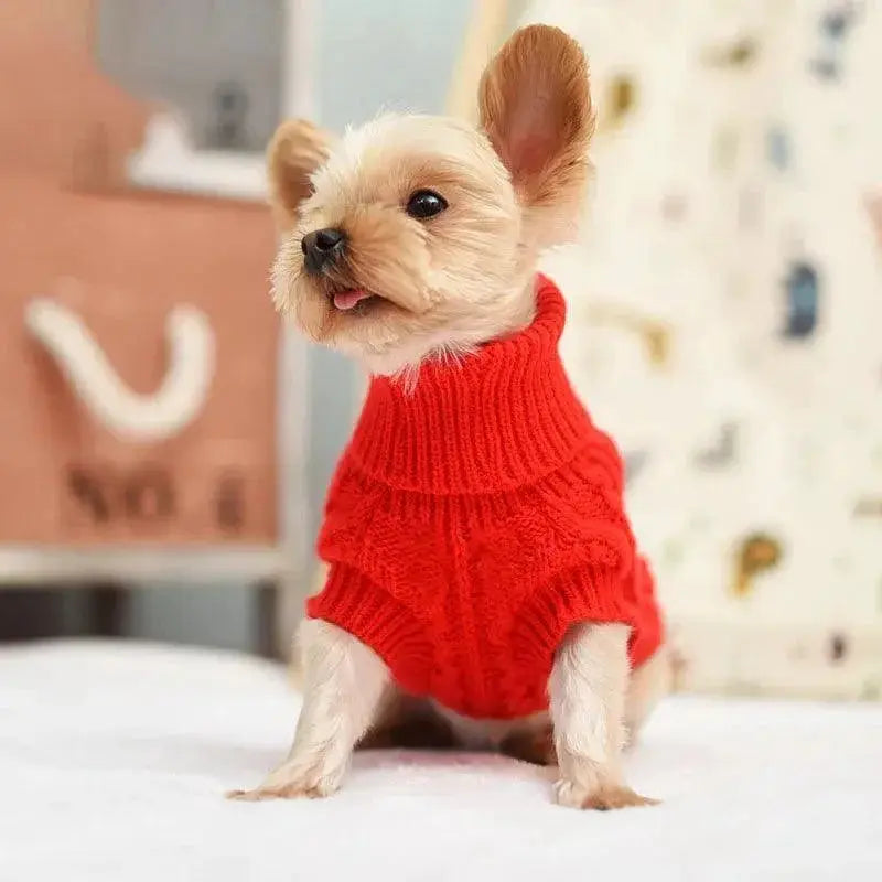 Knitted Dog Sweater Cozy Winter Fashion for Small Breeds
