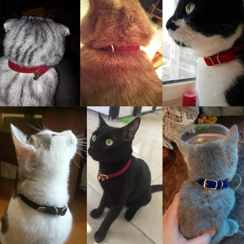 Cat Collar With Bell Safety Breakaway Design For Pets