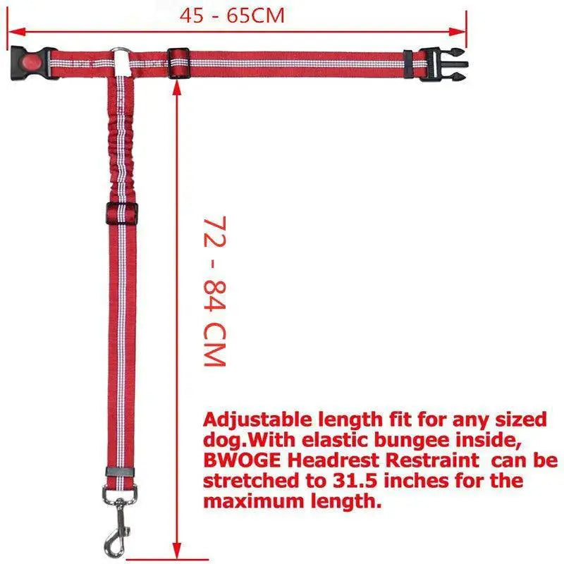 Reflective Dog Harness Leash for Night Safety and Visibility