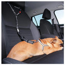 Reflective Dog Harness Leash for Night Safety and Visibility