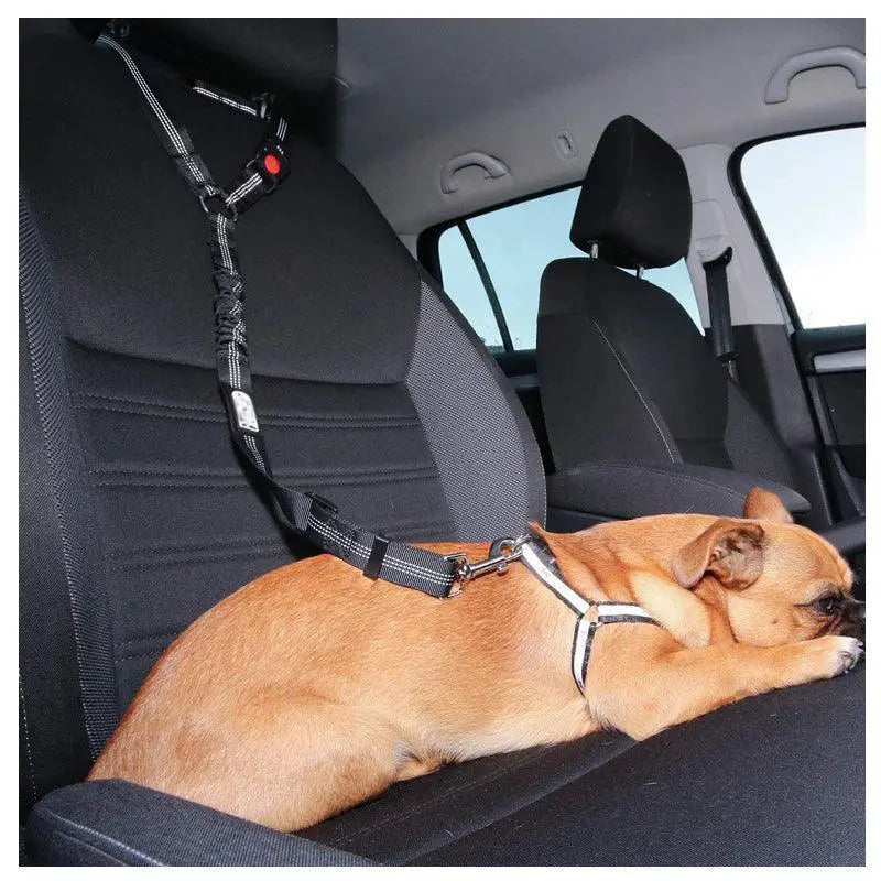 Reflective Dog Harness Leash for Night Safety and Visibility
