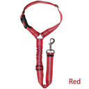 Reflective Dog Harness Leash for Night Safety and Visibility