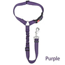 Reflective Dog Harness Leash for Night Safety and Visibility