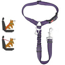 Reflective Dog Harness Leash for Night Safety and Visibility