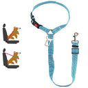 Reflective Dog Harness Leash for Night Safety and Visibility