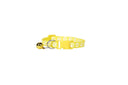 Safe and Visible Pet Collar for Cats