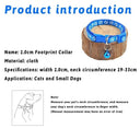 Safe and Visible Pet Collar for Cats