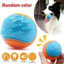 Bite-Resistant Ball for Dog Training