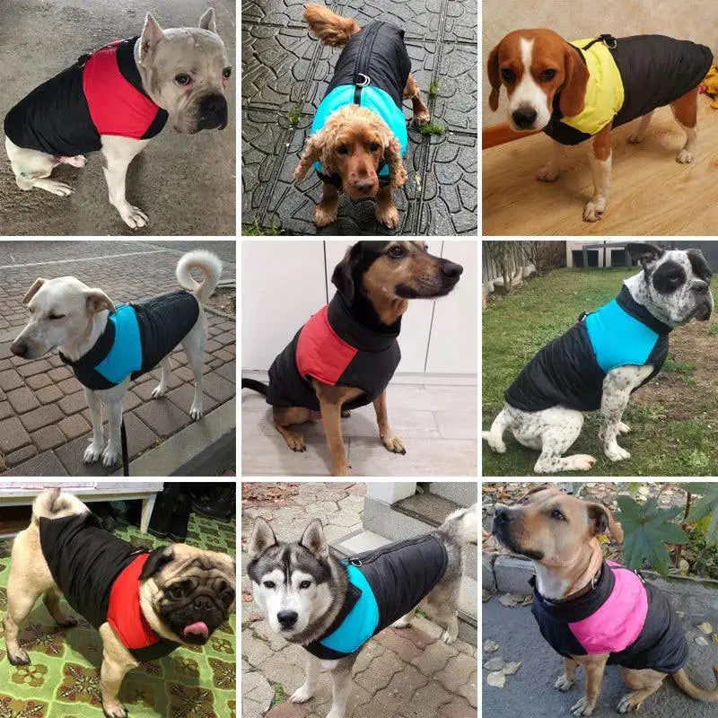 Winter Waterproof Dog Vest Jacket Windproof Warm Coat