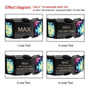 Durable Dog Collar Set for All Breeds