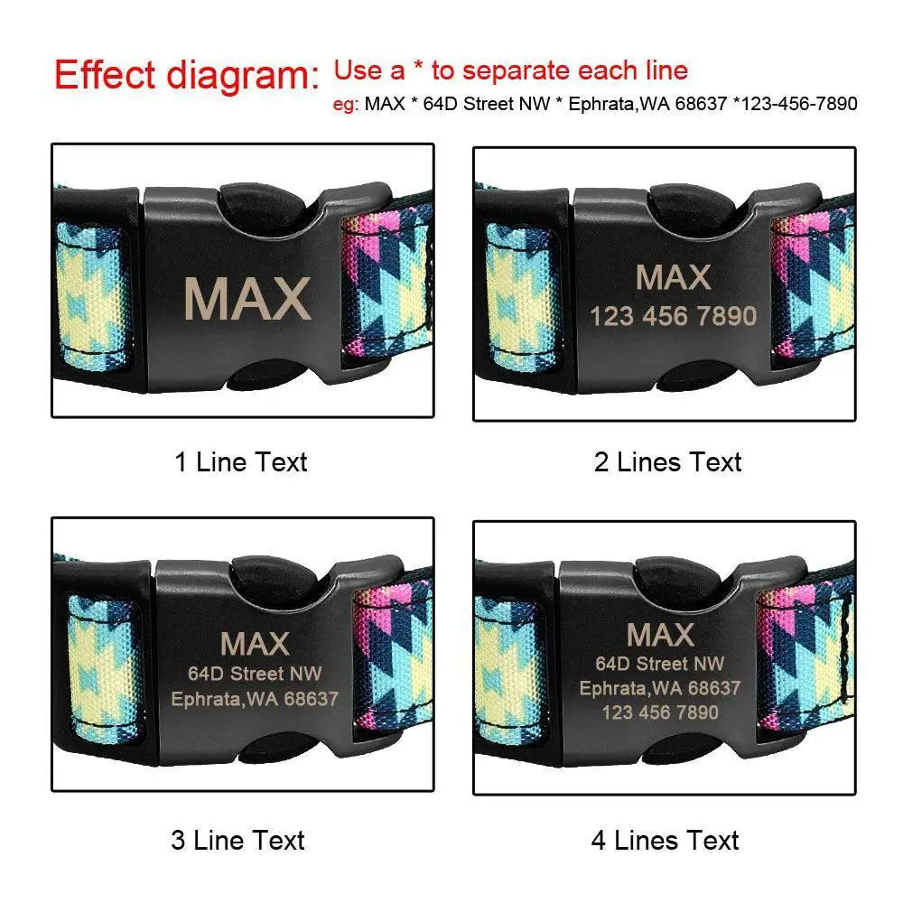 Colorful Personalized Dog Collar Set For All Breeds