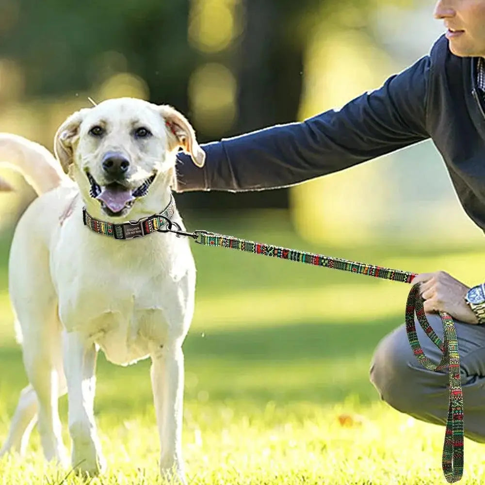 Colorful Personalized Dog Collar Set For All Breeds