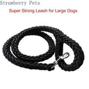 Leash and Collar for Large Dogs Durable