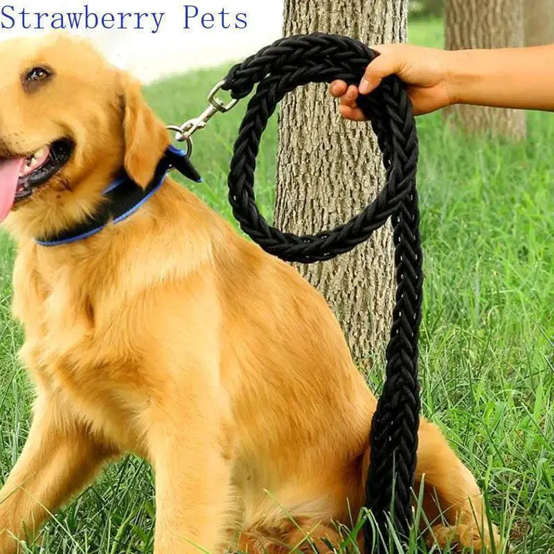 Army Green Nylon Dog Leash And Collar Set For Large Dogs
