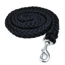 Leash and Collar for Large Dogs Durable
