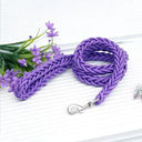 Leash and Collar for Large Dogs Durable