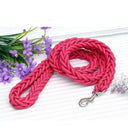 Leash and Collar for Large Dogs Durable