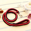 Leash and Collar for Large Dogs Durable