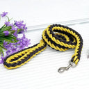 Leash and Collar for Large Dogs Durable