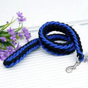 Leash and Collar for Large Dogs Durable