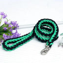 Leash and Collar for Large Dogs Durable