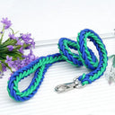 Leash and Collar for Large Dogs Durable