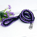 Leash and Collar for Large Dogs Durable