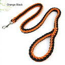 Leash and Collar for Large Dogs Durable