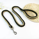 Leash and Collar for Large Dogs Durable