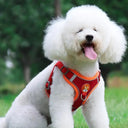 No-Pull Dog Harness For Safer Walks