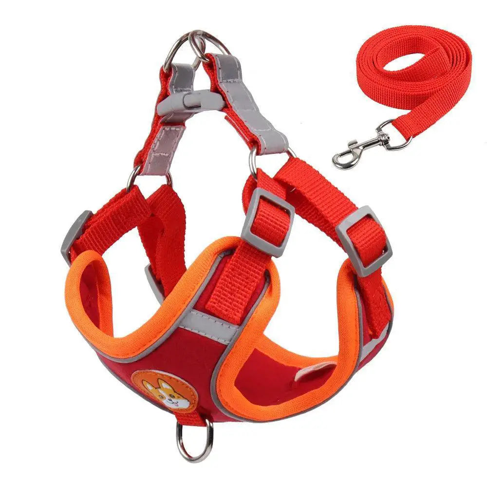 Innovative Dog Harness Set No Pull Safety Solution for Walks