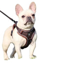 Reflective Harness For Small Dogs Safety