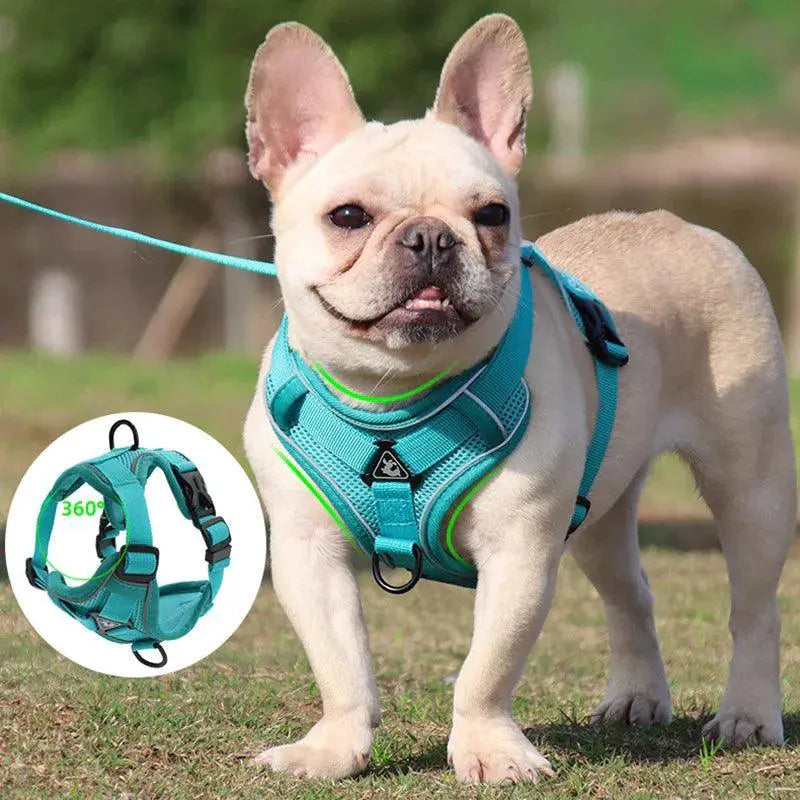 French Bulldog Reflective Mesh Harness With Leash Small