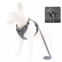 French Bulldog Reflective Mesh Harness With Leash Small