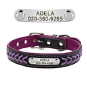 Personalized Braided Leather Dog Collar