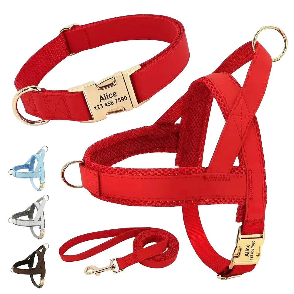 Safe Walks Dog Collar Harness for Safety — product view 1