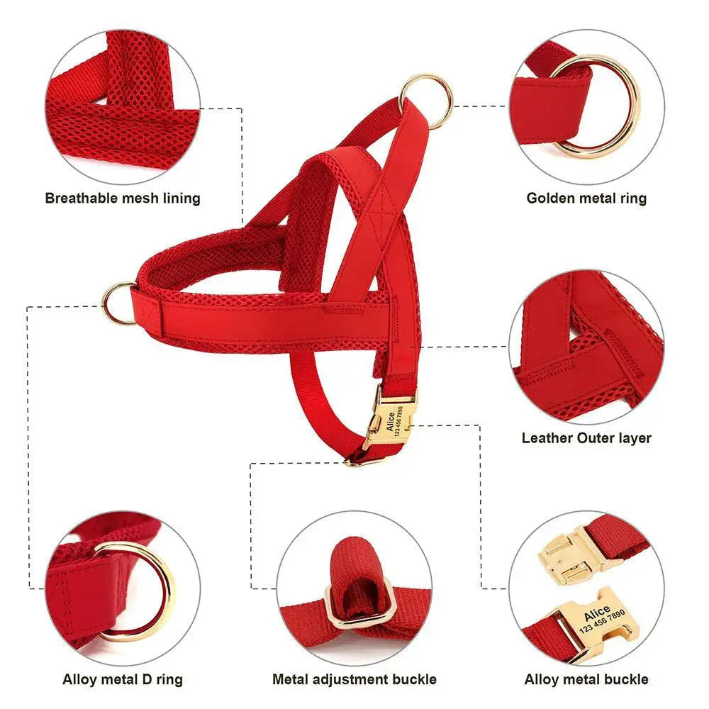 Personalized Leather Dog Collar Harness Leash Set Vest