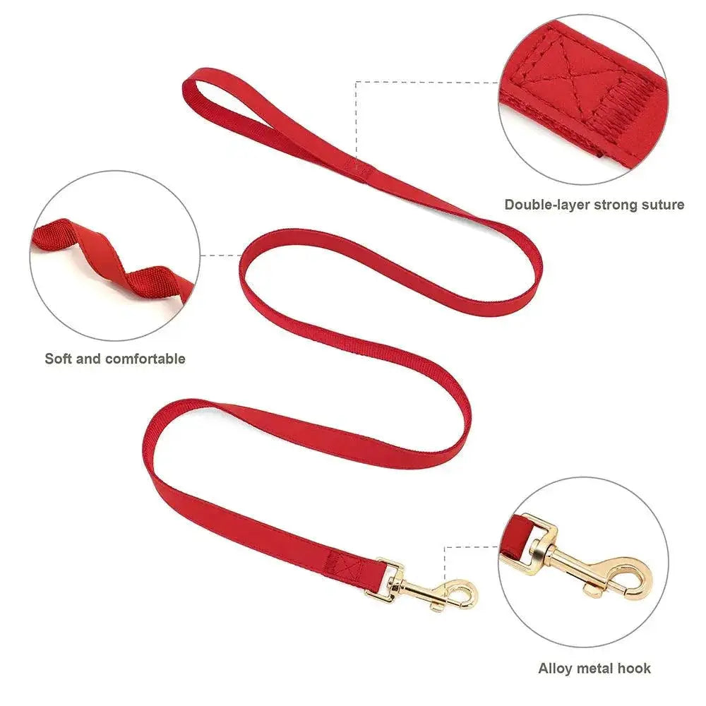 Personalized Leather Dog Collar Harness Leash Set Vest