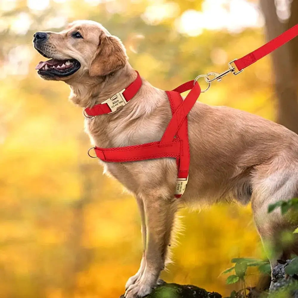 Personalized Leather Dog Collar Harness Leash Set Vest