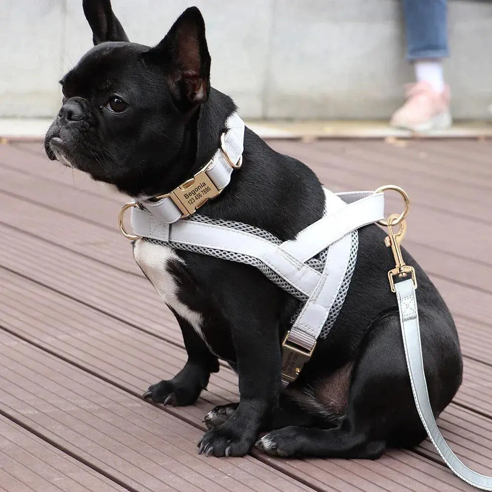 Personalized Leather Dog Collar Harness Leash Set Vest